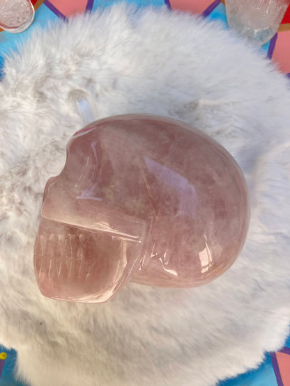 EFIA Rozenkwarts XL Skull/ kristallen schedel