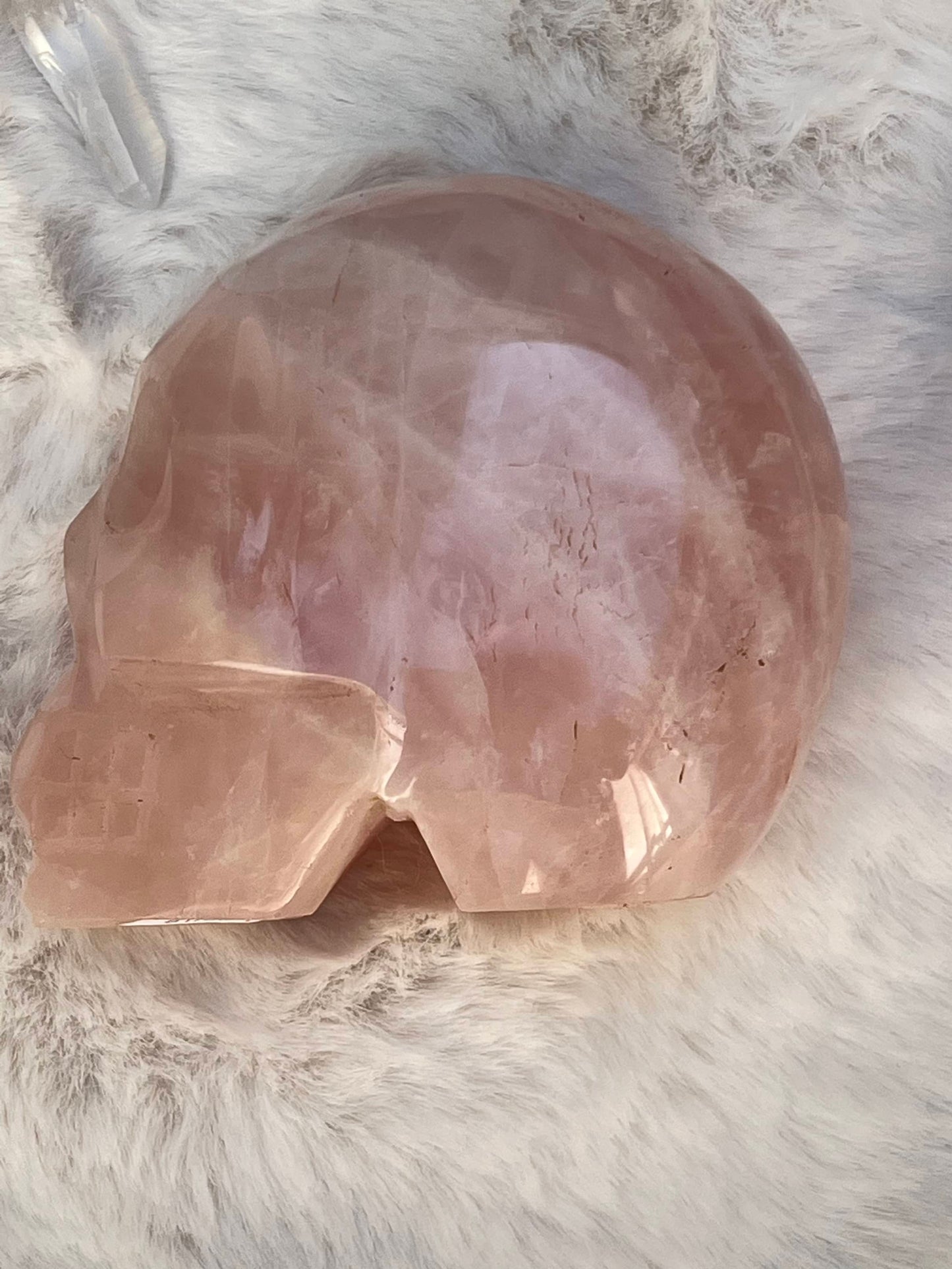 Rozenkwarts L Skull/ kristallen schedel