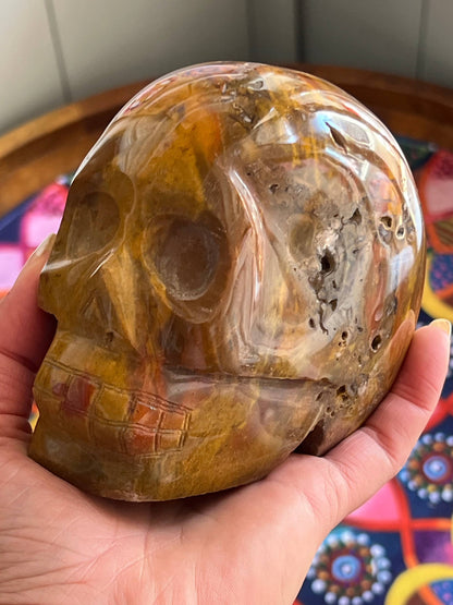 Oceaan Jaspis L Skull/ kristallen schedel