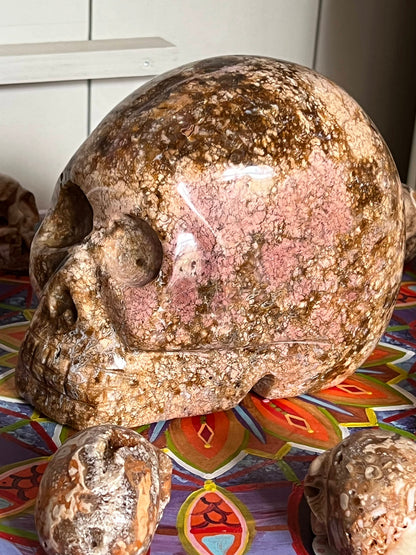 Oceaan Jaspis XL Skull/ kristallen schedel 4+ kilo