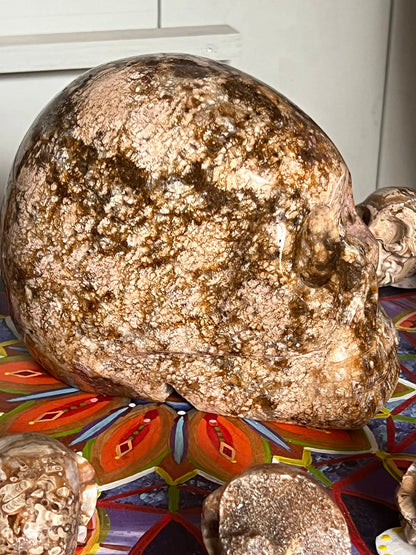 Oceaan Jaspis XL Skull/ kristallen schedel 4+ kilo