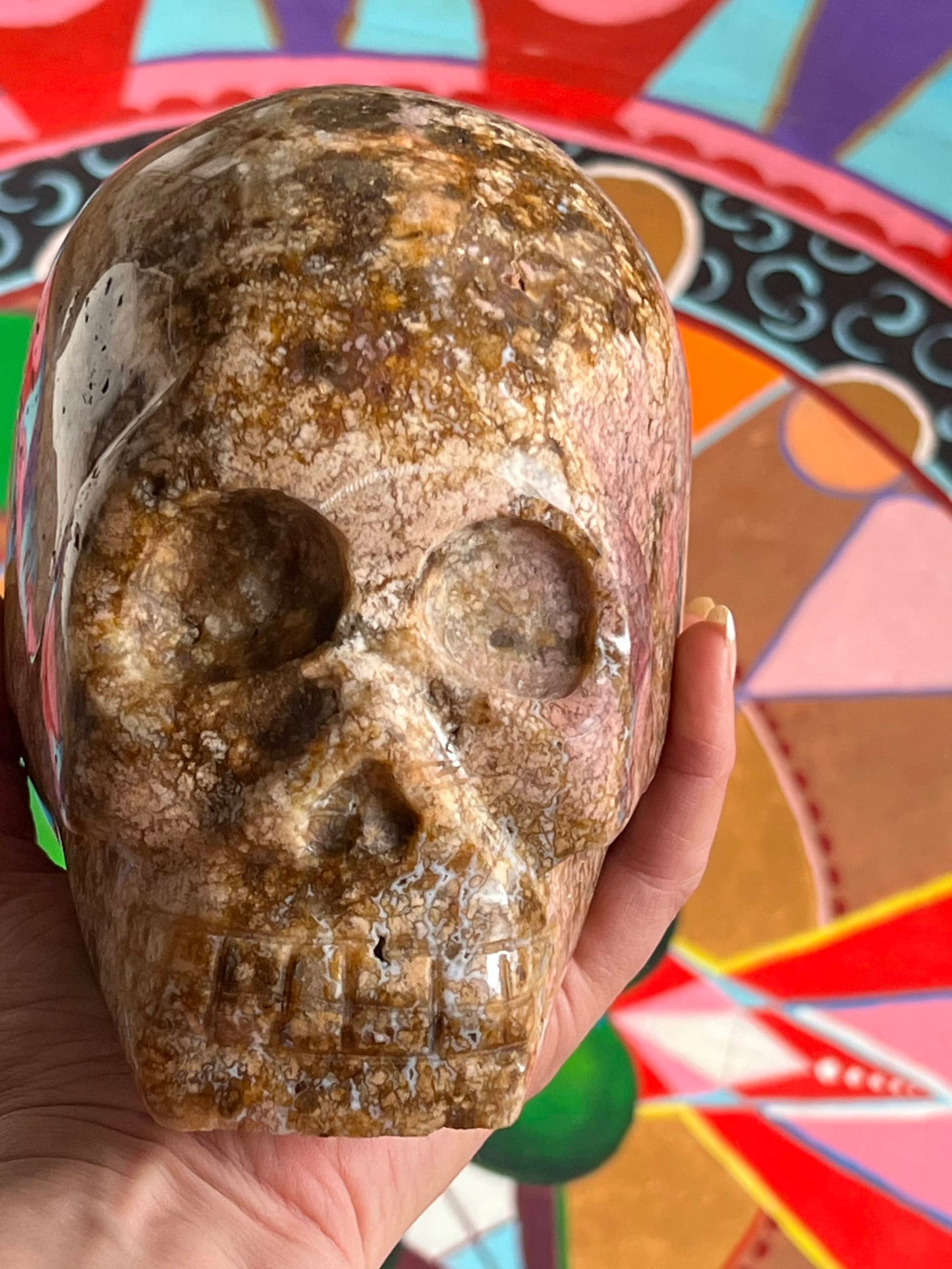 Oceaan Jaspis XL Skull/ kristallen schedel 4+ kilo