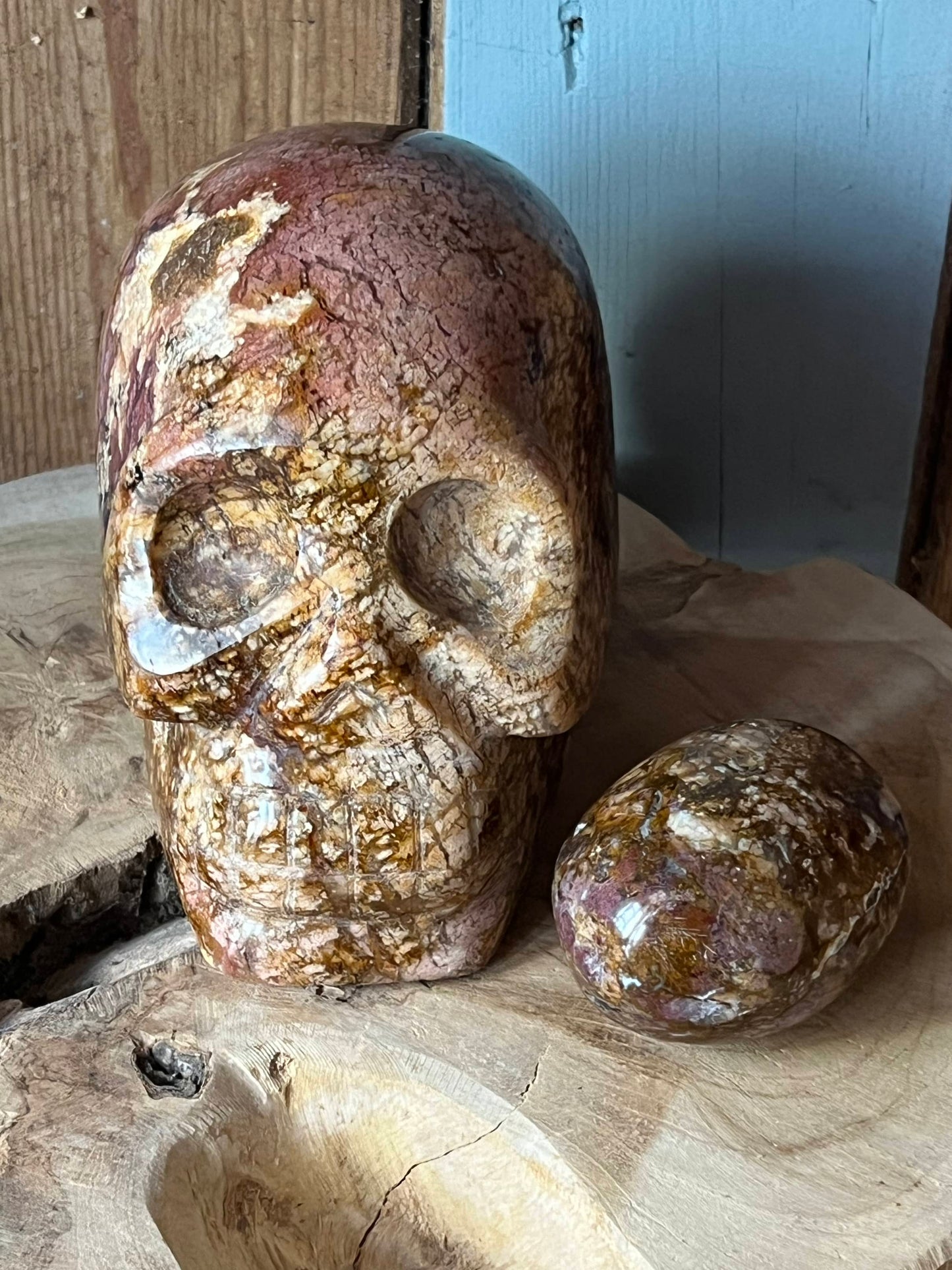 Oceaan Jaspis L Skull/ kristallen schedel met knuffel