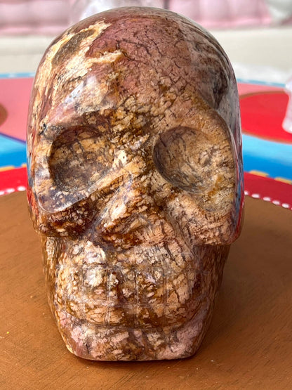 Oceaan Jaspis L Skull/ kristallen schedel met knuffel