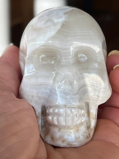 Witte Onyx S Skull/ kristallen schedel