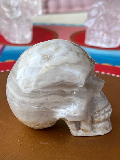 Witte Onyx S Skull/ kristallen schedel