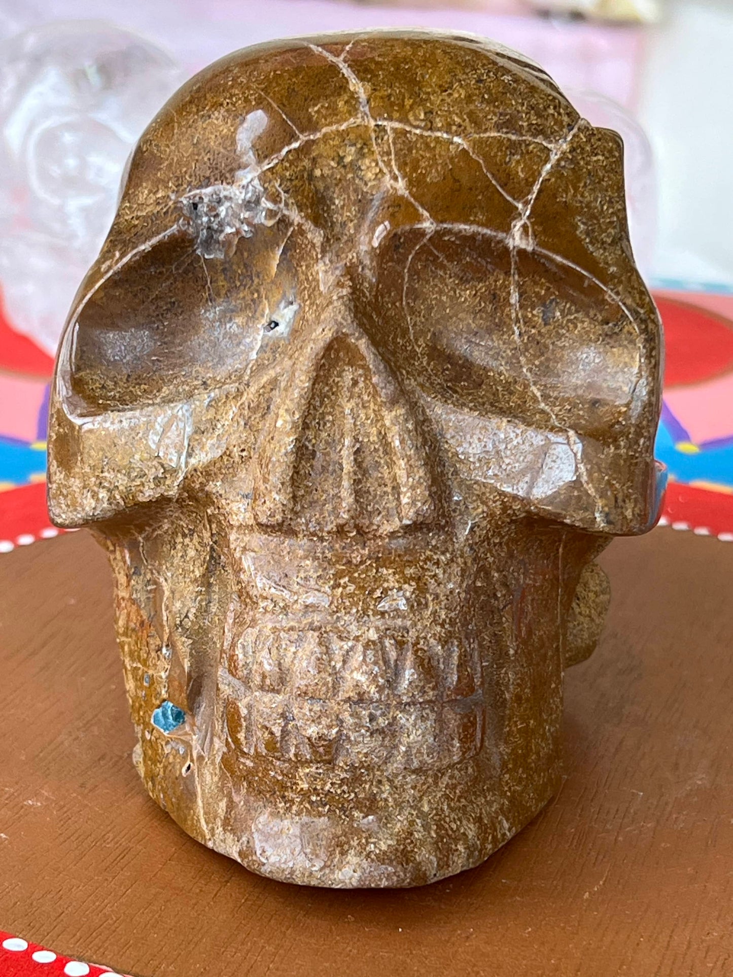 Blauwe Apatiet met Jaspis L Skull/ kristallen schedel