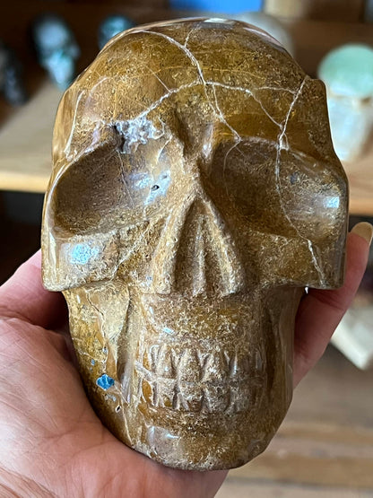 Blauwe Apatiet met Jaspis L Skull/ kristallen schedel