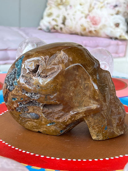 Blauwe Apatiet met Jaspis L Skull/ kristallen schedel