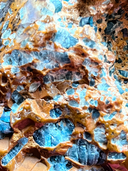 Blauwe Apatiet met Jaspis L Skull/ kristallen schedel