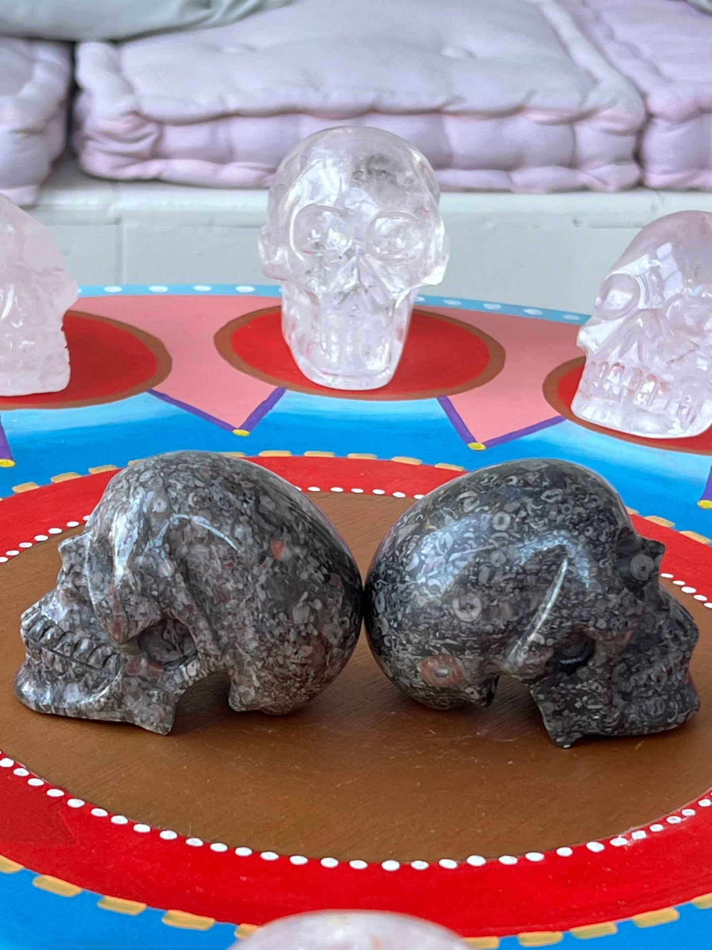 Twee Criniod Fossiel (zeelelie) Skulls/ kristallen schedels