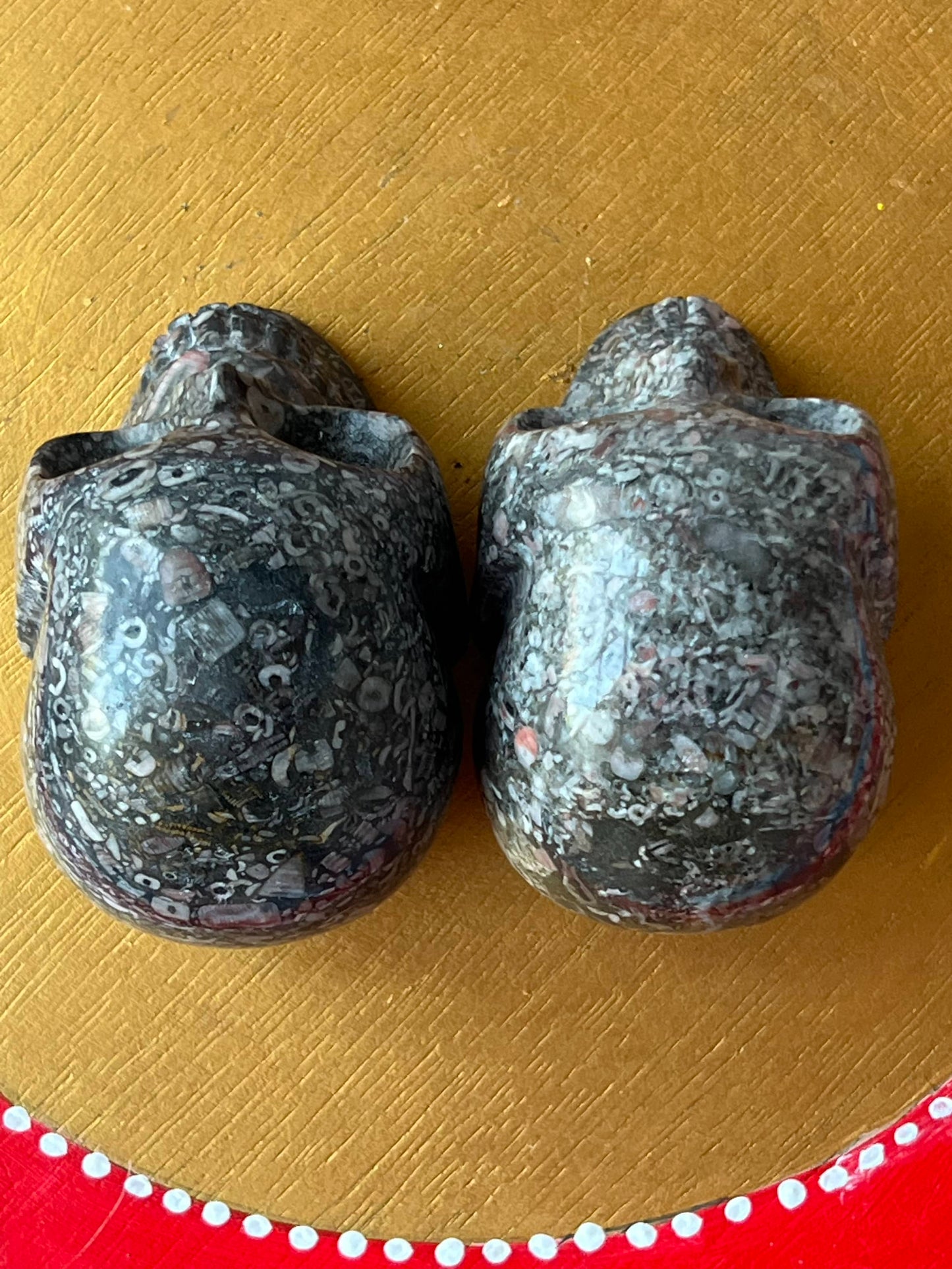 Twee Criniod Fossiel (zeelelie) Skulls/ kristallen schedels