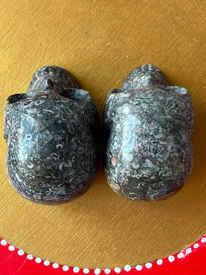 Twee Criniod Fossiel (zeelelie) Skulls/ kristallen schedels